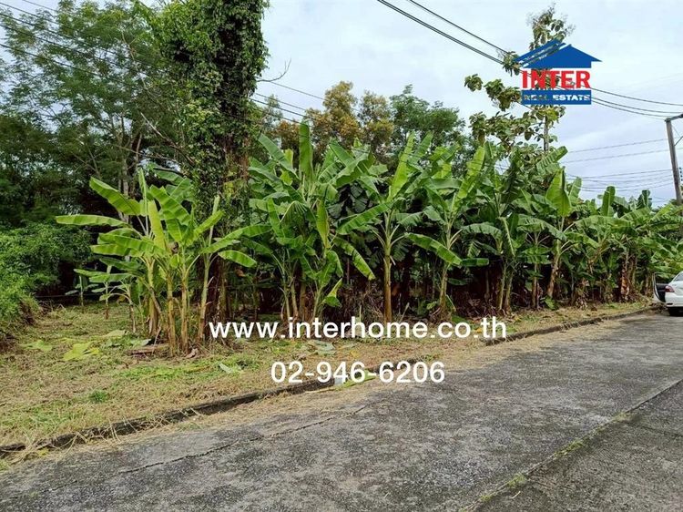 ที่ดินเปล่า 364 ตร.ว. ที่ดิน หมู่บ้านกฤษดานคร25 ซอยประชาร่วมใจ31 ถนนสุวินทวงศ์ ถนนนิมิตใหม่ เขตคลองสามวา กรุงเทพมหานคร รูปที่ 2