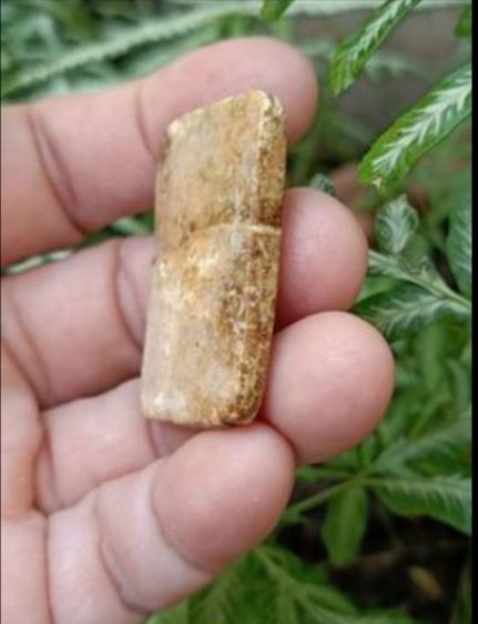 พระสมเด็จฯ ไม่ทราบที่ รูปที่ 5