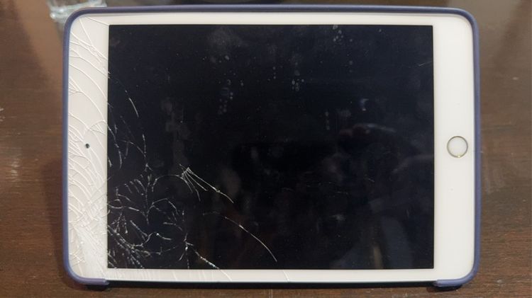 Apple 64 GB iPad mini 4 64gb WiFi Cellular