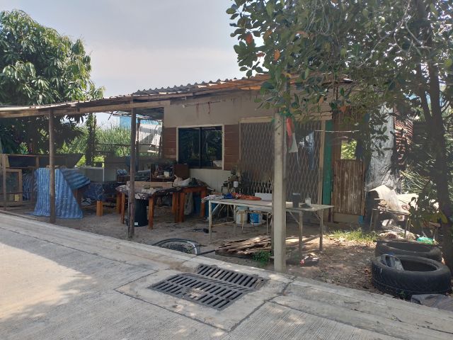 ขายที่ดิน100ตร.ว. รูปที่ 3