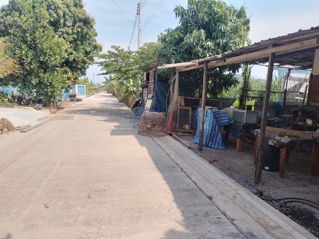 ขายที่ดิน100ตร.ว. รูปที่ 2