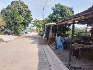 ขายที่ดิน100ตร.ว.