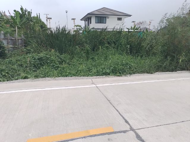 ขายที่ดิน.ซอย ราชาเทวะ15 รูปที่ 3