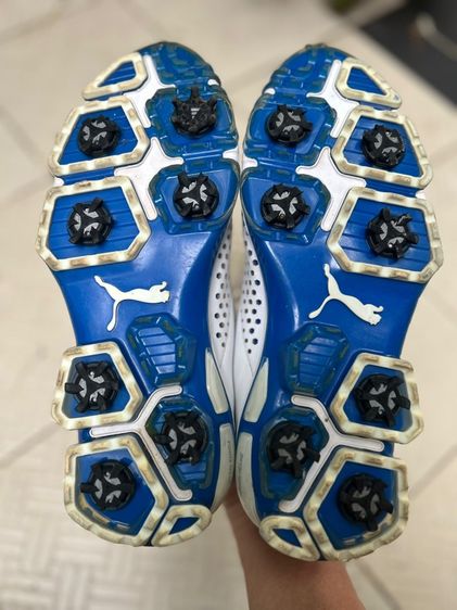 รองเท้ากอล์ฟ รูปที่ 12