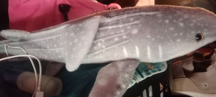 ตุ๊กตา ปลาฉลาม