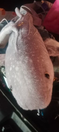 ตุ๊กตา ปลาฉลาม รูปที่ 2