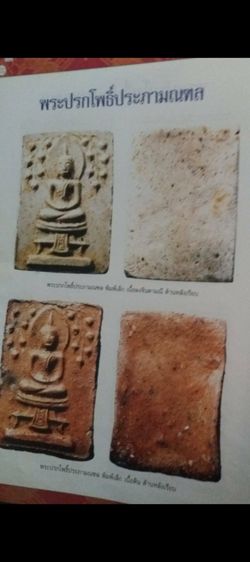 พระปรกโพธิ์ พิมพ์เล็ก หลวงปู่ทิม วัดละหารไร่เสก รูปที่ 4