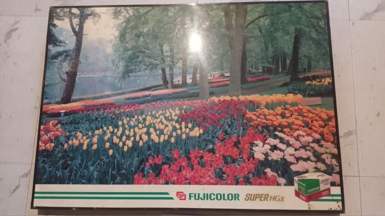 ภาพโฆษณา fuji รูปที่ 2