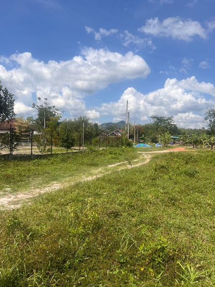 ขายที่ดิน นาหม่อม สงขลา น้ำไม่ท่วม พ.ย. 2025 เหมาะปลูกบ้าน บ้านสวน รูปที่ 2