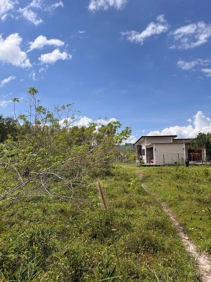 ขายที่ดิน นาหม่อม สงขลา น้ำไม่ท่วม พ.ย. 2025 เหมาะปลูกบ้าน บ้านสวน รูปที่ 3