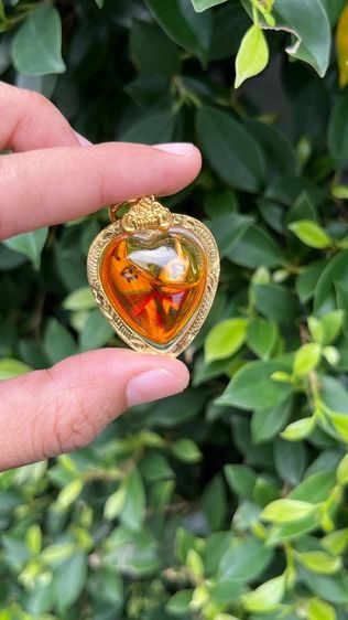 สาริกาลิ้นทอง ผ่านพิธีแล้ว สาริกา เสริมเสน่ห์ การเงิน โชคลาภ ค้าขาย สุดปัง ร่ำรวย