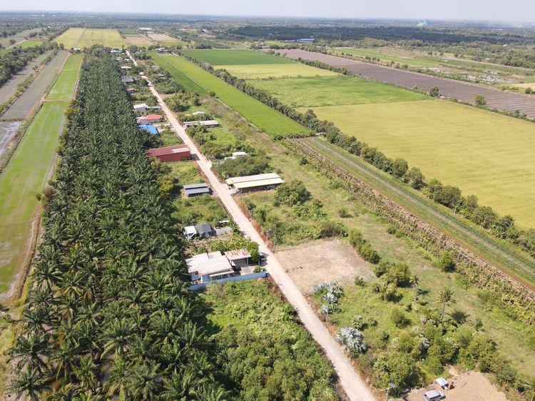 ที่ดินถมแล้วพร้อมสร้างบ้าน สาธารณูปโภคครบ คลอง 11 อ.หนองเสือ จ.ปทุมธานี รูปที่ 4