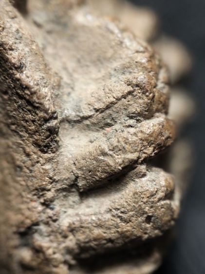 ❌ปิดครับ❌พระรอดลำพูนพิมพ์ใหญ่ครับ รูปที่ 13