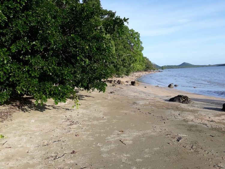 ขายที่ดินติดทะเลชายหาดเกาะศรีบอยา12ไร่ รูปที่ 4