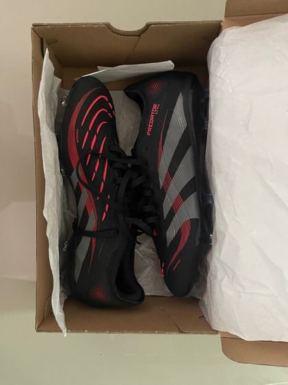 สตั๊ด รูปที่ 6