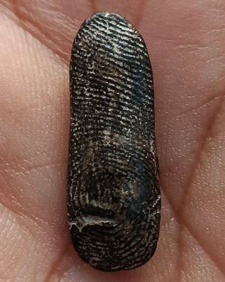 พระลีลาเนื้อดิน ขนาดสูง 2.4 ซ.ม. พระบ้านเก่าเก็บ หลายสิบปี ไม่ทราบเกจิที่สร้าง รูปที่ 2