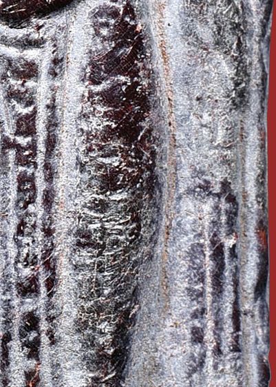 สนิมออกม่วง พระกรุ พระร่วงยืน หลังรางปืน กรุวัดพระศรีมหาธาตุ สุโขทัย   รูปที่ 14