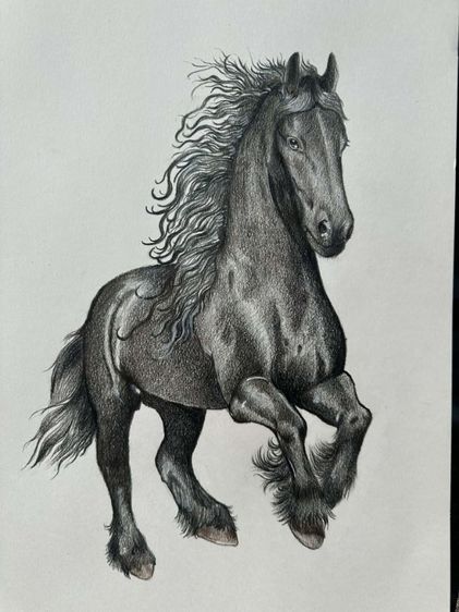 รูปม้า รูปที่ 2