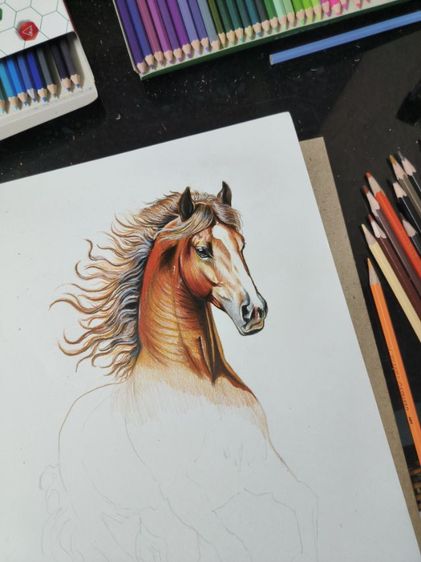 รูปวาดม้า รูปที่ 2