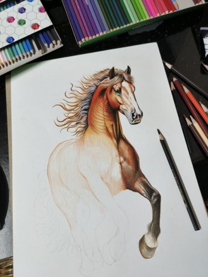 รูปวาดม้า รูปที่ 3