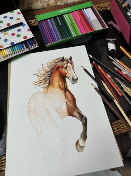 รูปวาดม้า รูปที่ 4