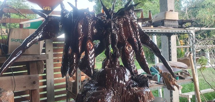 Bahamut Emperor  รูปที่ 2