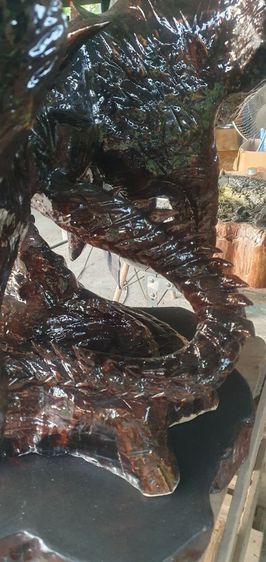 Bahamut Emperor  รูปที่ 6