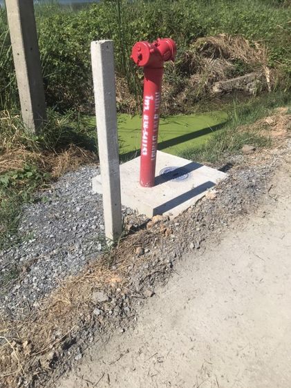 ใช่ เจ้าของขายเองที่แถววัดดอนทราย ทางเข้าศูนย์ nissan ล้าง ตรงข้ามทางเข้าวัดสมาน อ.บ้านโพธ์ จ.ฉะเชิงเทรา รูปที่ 3