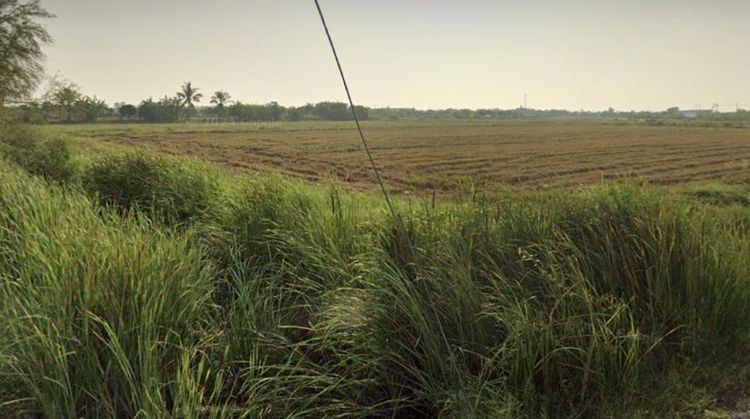 ใช่ เจ้าของขายเองที่แถววัดดอนทราย ทางเข้าศูนย์ nissan ล้าง ตรงข้ามทางเข้าวัดสมาน อ.บ้านโพธ์ จ.ฉะเชิงเทรา รูปที่ 2