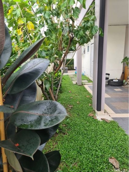 Supalai มีบางส่วน ไม่ใช่ ให้เช่าบ้านเดี่ยวหลังใหญ่ เลี้ยงสัตว์ได้ เพชรเกษม69 รูปที่ 2