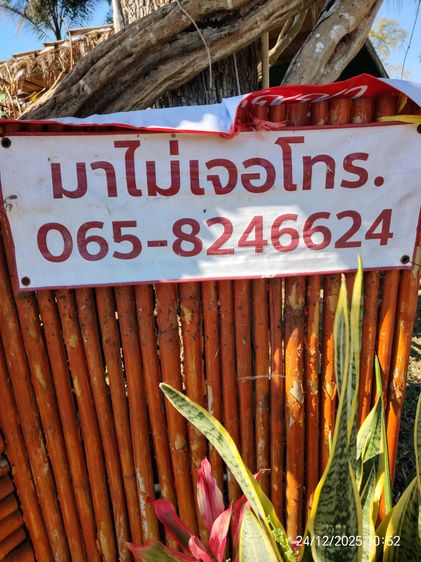 ขาย ยามาฮ่า ฟิน 115i  สีน้ำเงิน รูปที่ 8