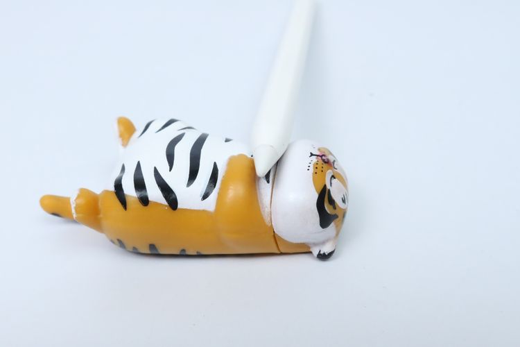 Apple Pencil รุ่น 2 - ID25120287 รูปที่ 4