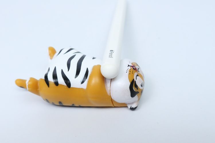 Apple Pencil รุ่น 2 - ID25120287 รูปที่ 5