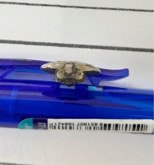 พระเครื่องเจ้าคุณ นร รูปที่ 4