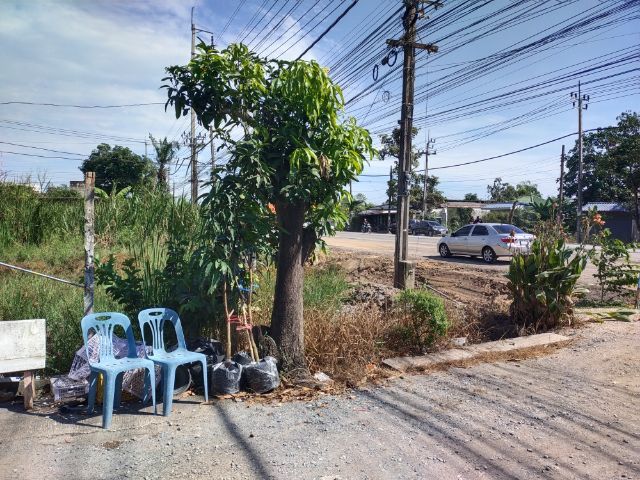 ใช่ ขายที่ดินเปล่าติดถนนมิตรไมตรี หนองจอก รูปที่ 4