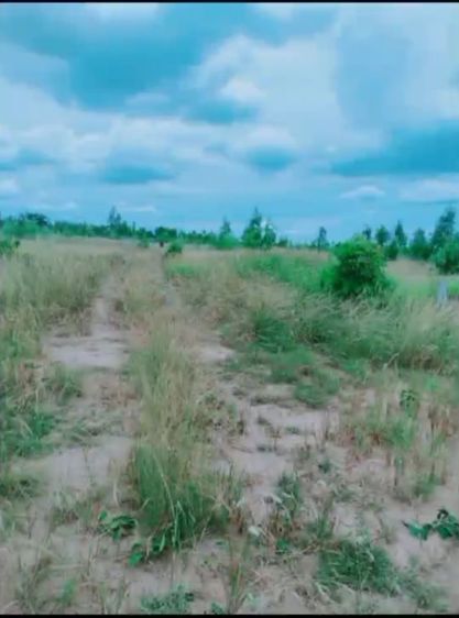 ใช่ ขายที่ดิน3ไร่ พิกัด หมู่บ้านซับสวรรค์ต.คลองไผ่ อ.สีคิ้ว จ.นครราชสีมา รูปที่ 3