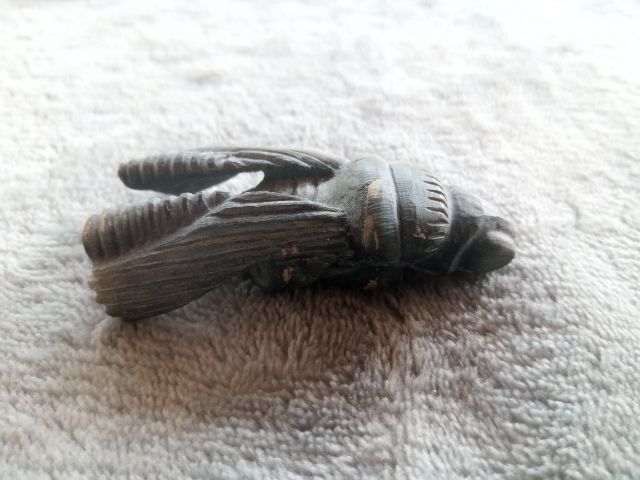 แมลงภู่คำ (เขาแกะ) รูปที่ 3