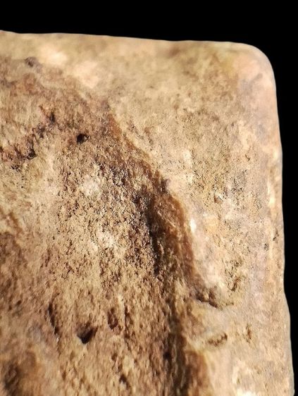 อกครุฑเศียรบาตร. รูปที่ 11