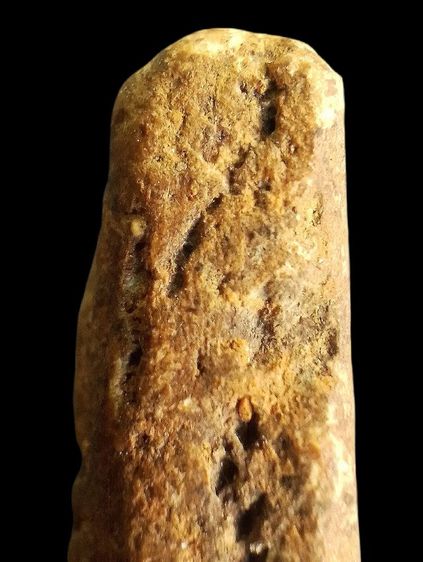 อกครุฑเศียรบาตร. รูปที่ 16