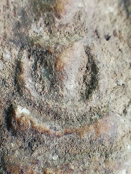 อกครุฑเศียรบาตร. รูปที่ 6