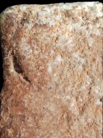 อกครุฑเศียรบาตร. รูปที่ 14