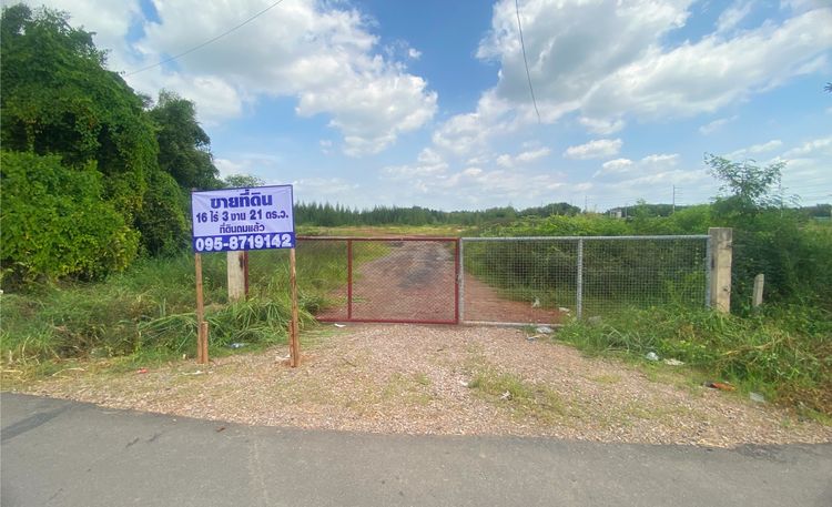 ขายที่ดินแม่กลอง 16 ไร่ 3 งาน 21 ตารางวา