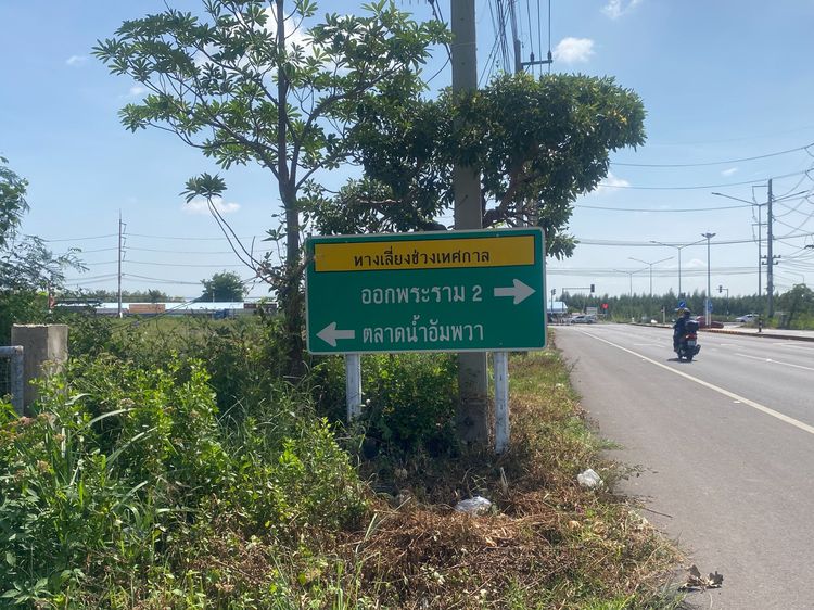 ขายที่ดินแม่กลอง 16 ไร่ 3 งาน 21 ตารางวา รูปที่ 4