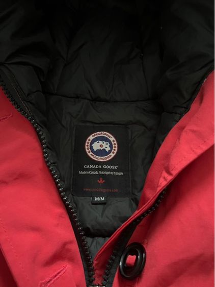 Canada Goose รูปที่ 4
