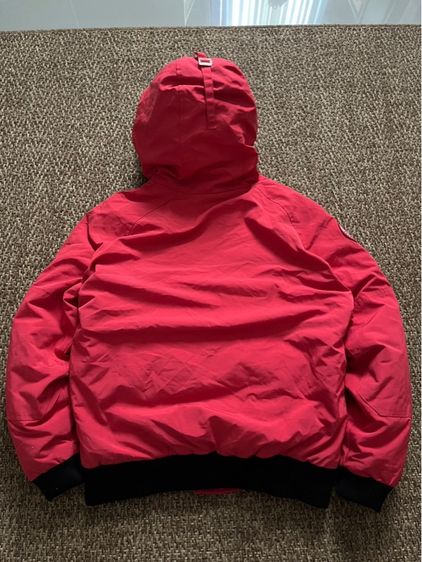 Canada Goose รูปที่ 8