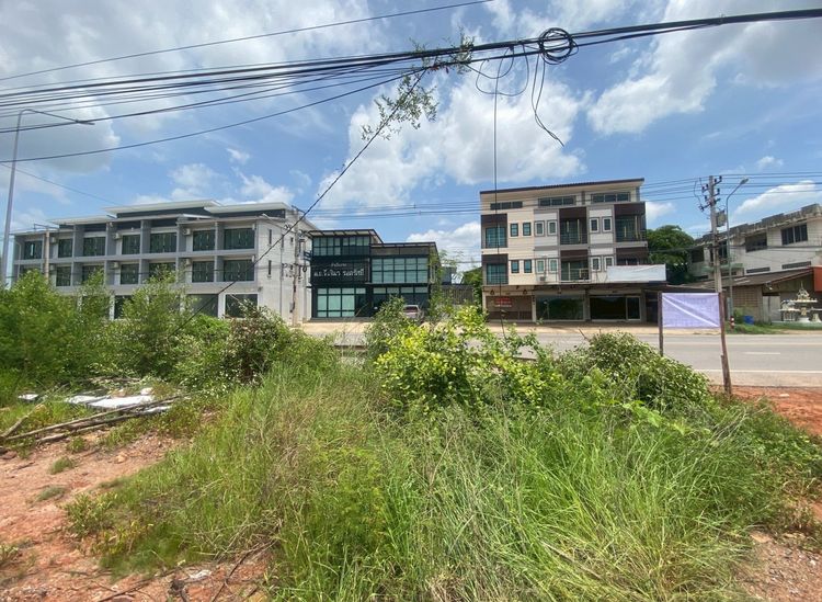 ขายที่ดินทำเลทอง 6 ไร่ 3 งาน 49 ตรว รูปที่ 4