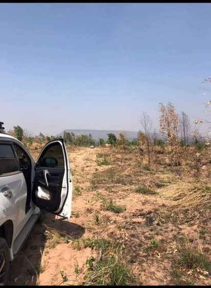 ใช่ ขายที่ดิน2ไร่ ไร่ละ150,000 รูปที่ 4