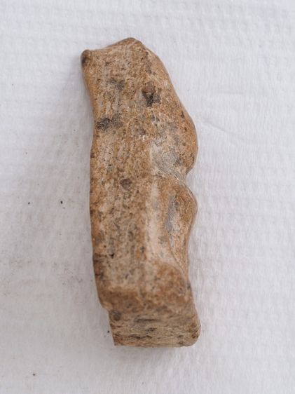 พระนางพญา 22106809 รูปที่ 3