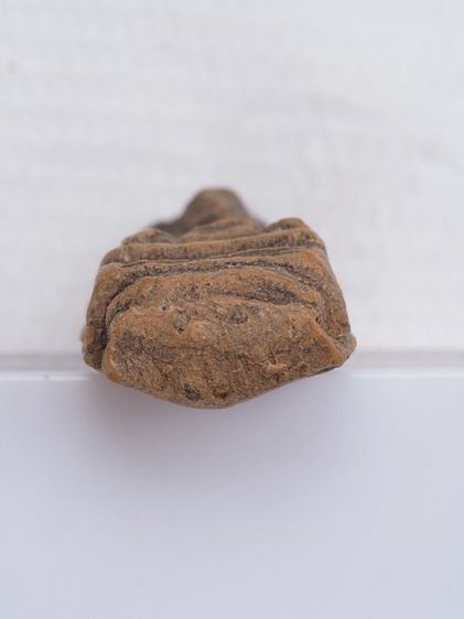 พระรอด 22106810 รูปที่ 3