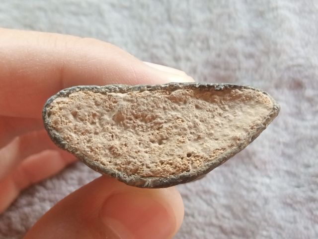 งั่ง (ไอ้งั่ง) รูปที่ 15